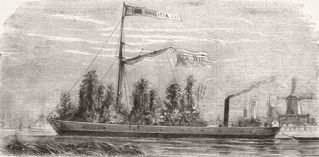 SHIPS. Screw steamer for the Conveyance of plants 1860 old antique print